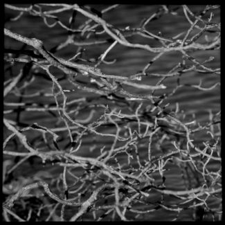 Giovanna Nucci - Almacén Thebaldi Galeria