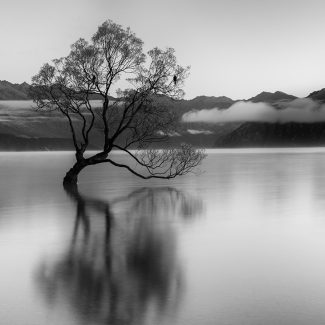 Cristina Magalhães - Almacén Thebaldi Galeria